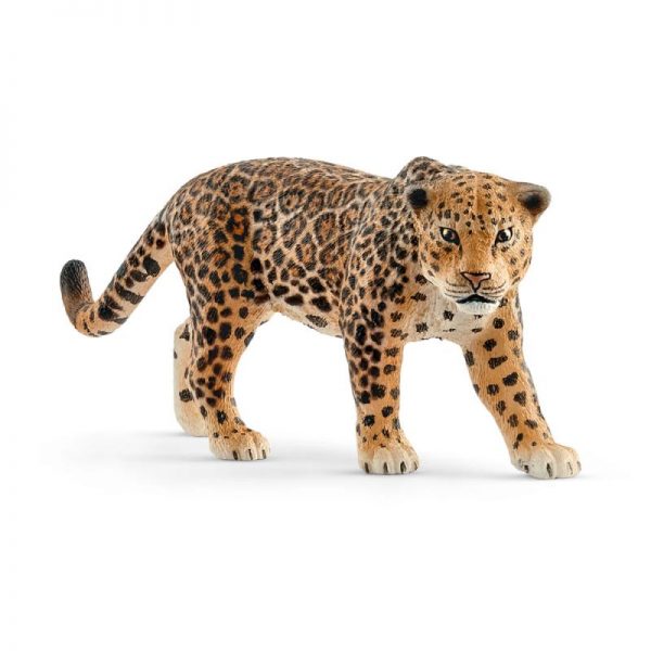 Zvieratko - jaguár