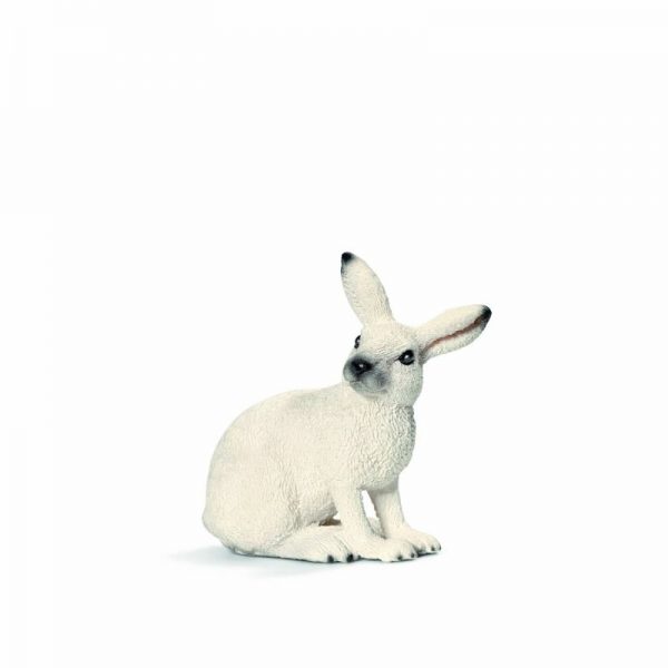 Zvieratko - zajac biely