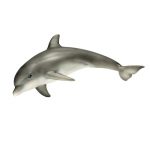 Zvieratko - delfín