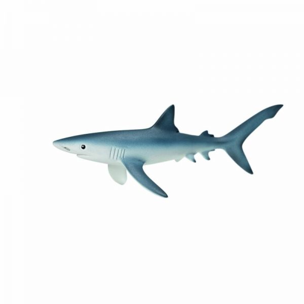 Zvieratko - modrý žralok