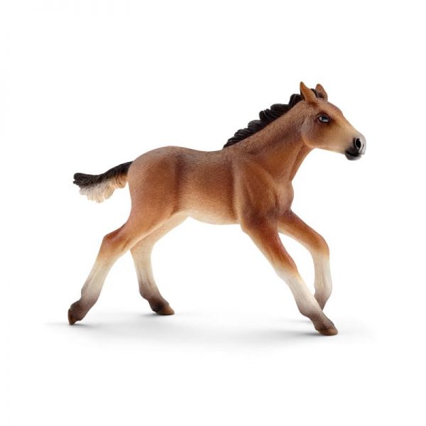 Zvieratko - žriebä Mustang