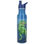 Hliníková fľaša na pitie Dino World 3484162