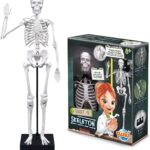 Ľudská kostra 45cm (2180) Buki France