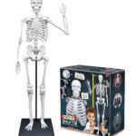Ľudská kostra 85cm (2181) Buki France